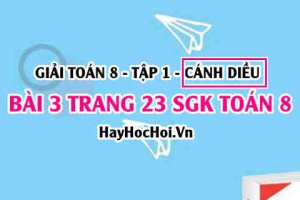 Giải bài 3 trang 23 Toán 8 Tập 1 SGK Cánh Diều